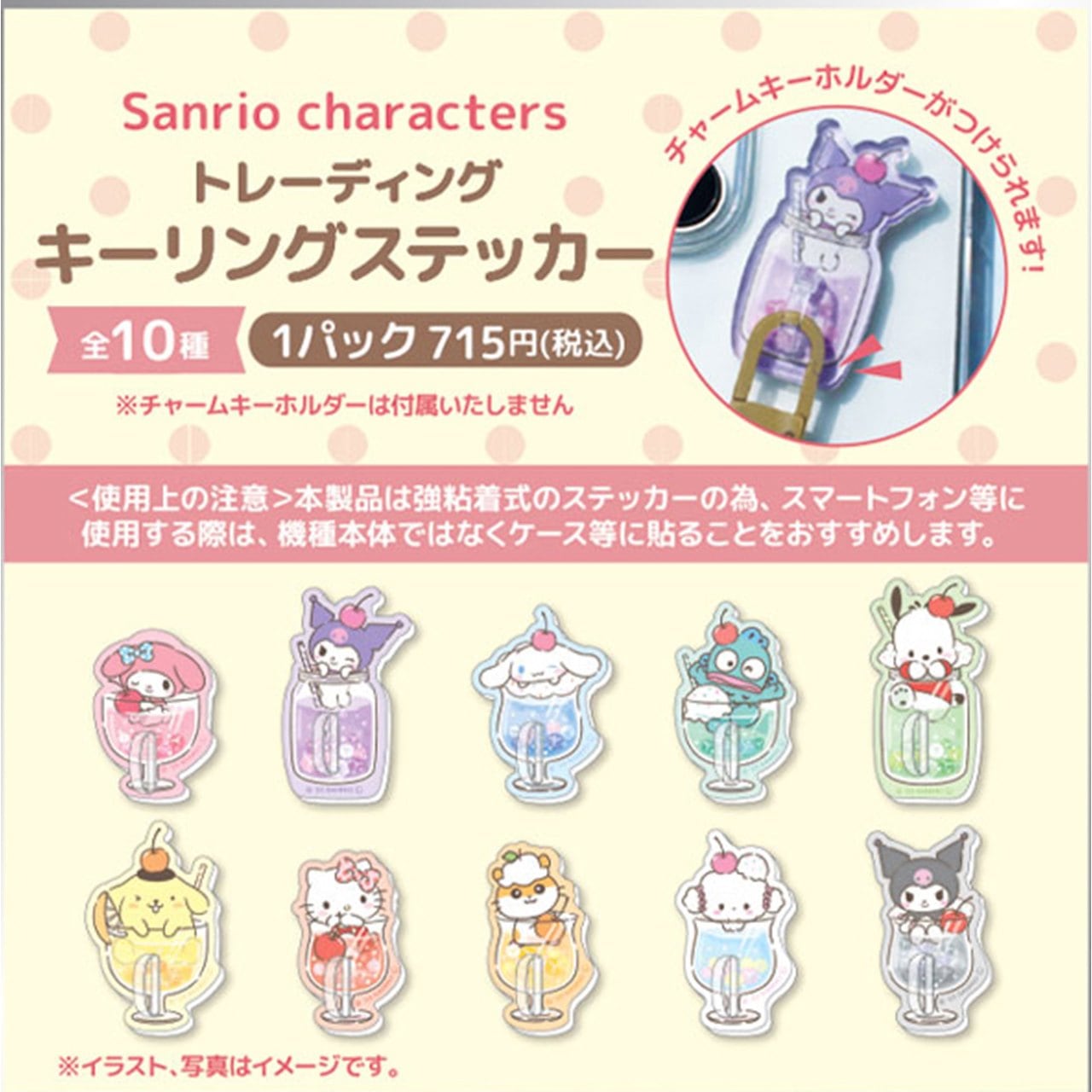 SANRIO© Hook Mystery Box 10 Styles (Japan Edition) (1 Piece)