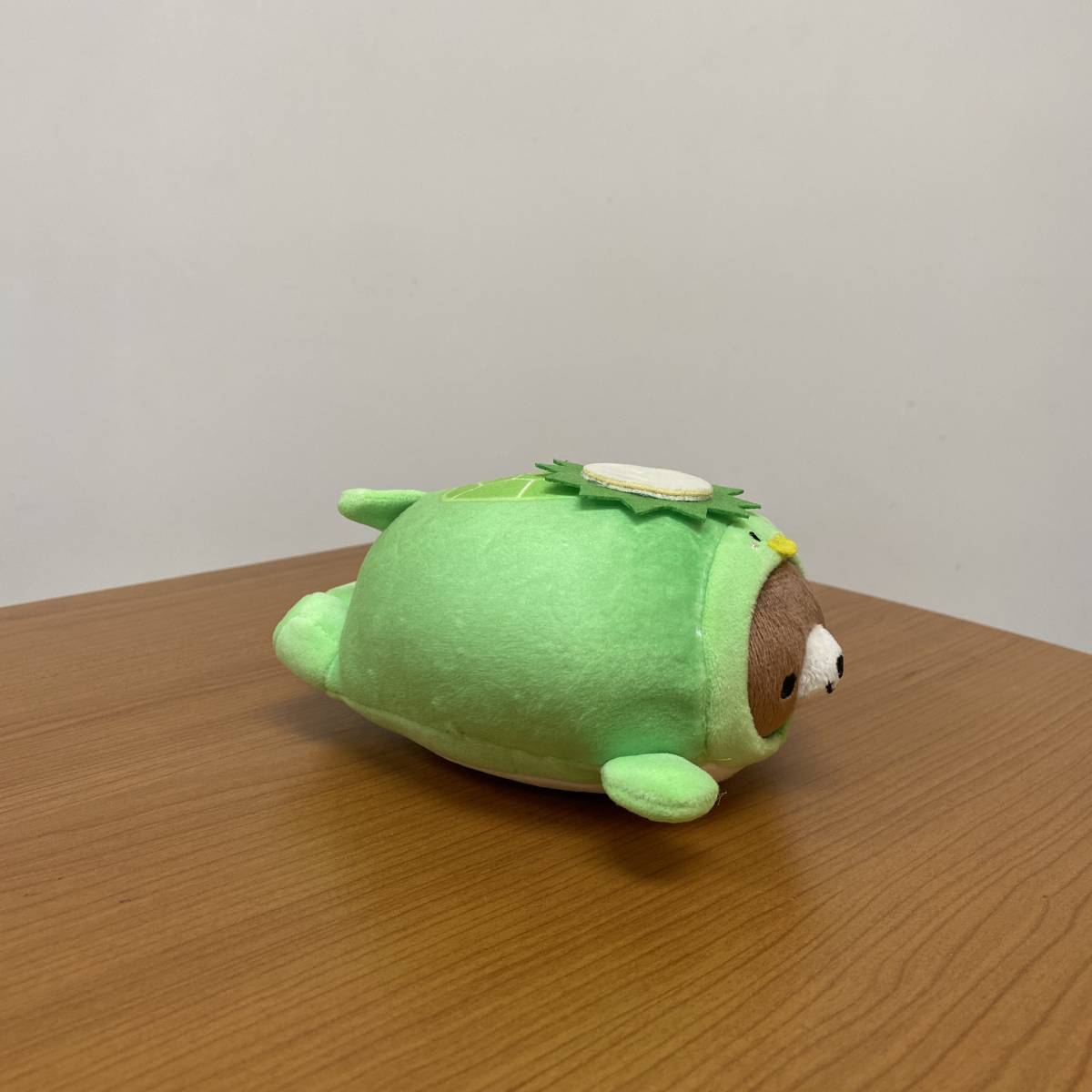 Bear Transform Turtle Plush 15cm (Japan Edition)