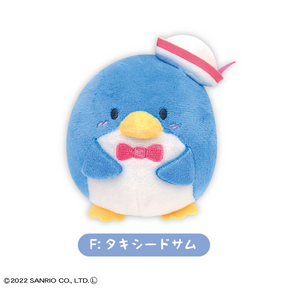 SANRIO© Mystery Box Plush Fuwa Kororin (Japan Edition)