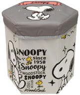 PEANUT SNOOPY© Hexagon Grey Seat with Storage