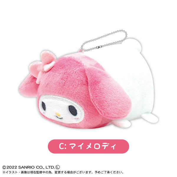 SANRIO© Mystery Box Plush Potekoro Mascot (Japan Edition)