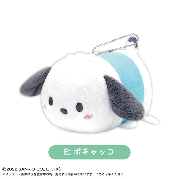 SANRIO© Mystery Box Plush Potekoro Mascot (Japan Edition)