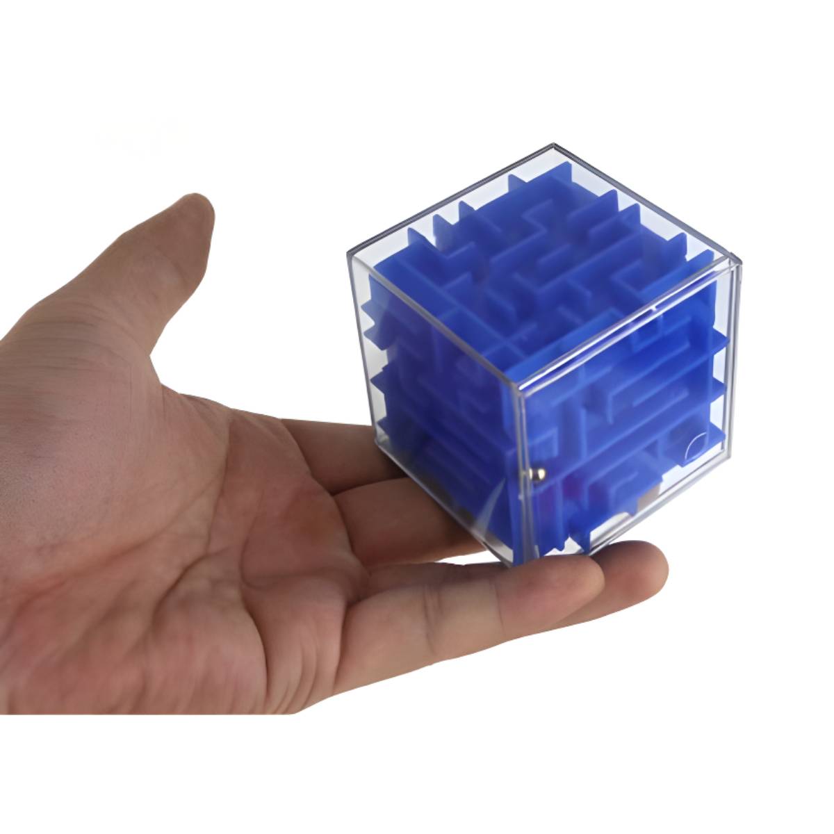 Maze Money Box