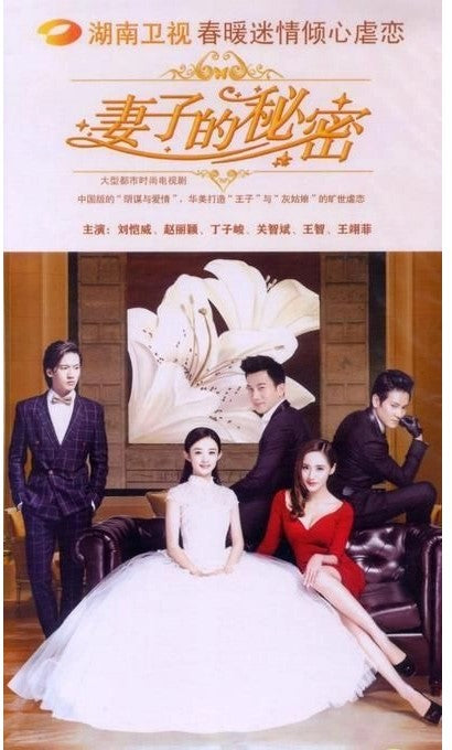 妻子的秘密 (DVD)