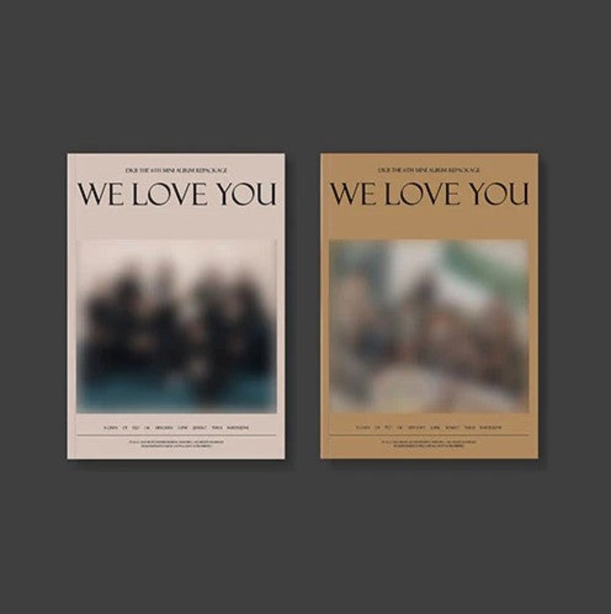 DKB Mini Album Vol. 6 Repackage - We Love You