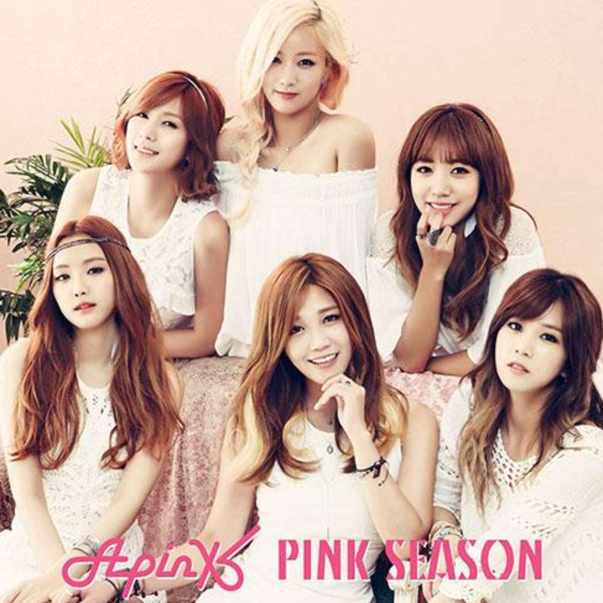 Apink - PINK SEASON (ALBUM+DVD) (First Press Limited Edition)(Taiwan Version)