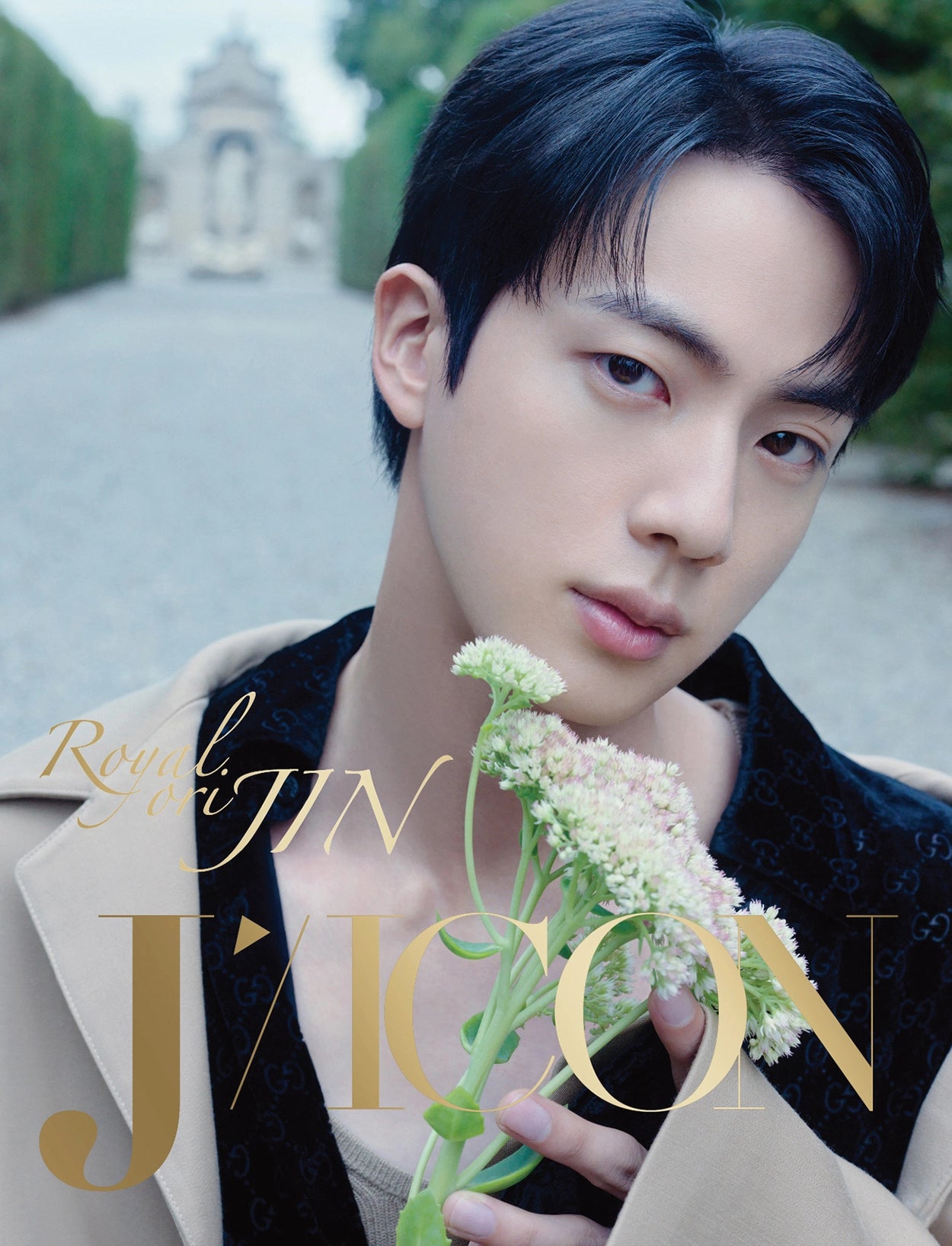 DICON VOLUME N°24 (JIN)