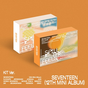 SEVENTEEN 12TH MINI ALBUM - SPILL THE FEELS (KIT VERSION)