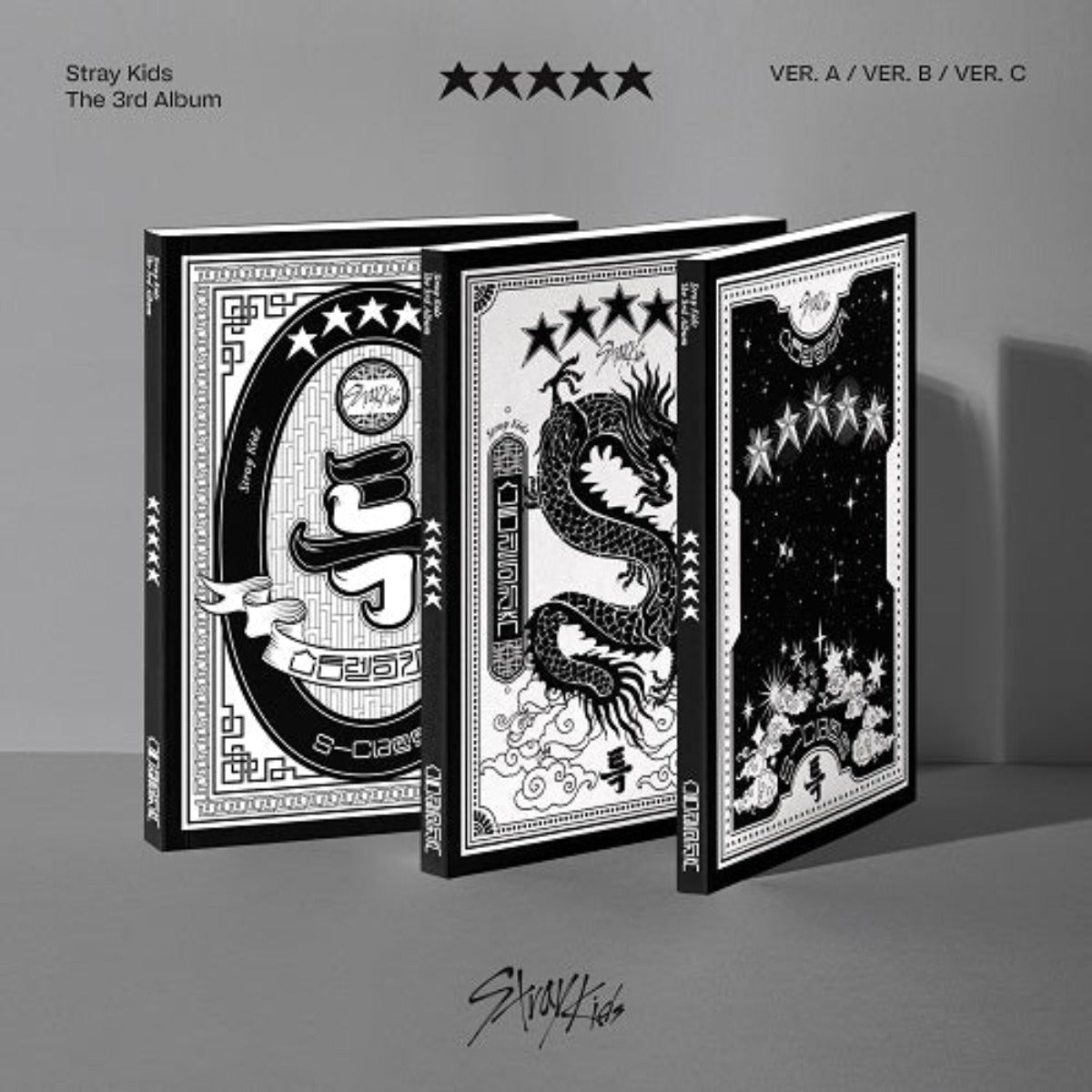 STRAY KIDS VOL. 3 - ★★★★★ (5-STAR)