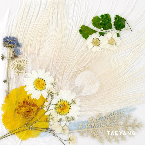 BIG BANG : TAE YANG VOL. 3 - WHITE NIGHT