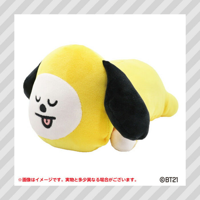 BT21© Characters Sleeping Fluffy Arm Pillow Plush (Japan Edition)