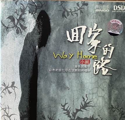 小闞 - 回家的路WAY HOME (DSD)