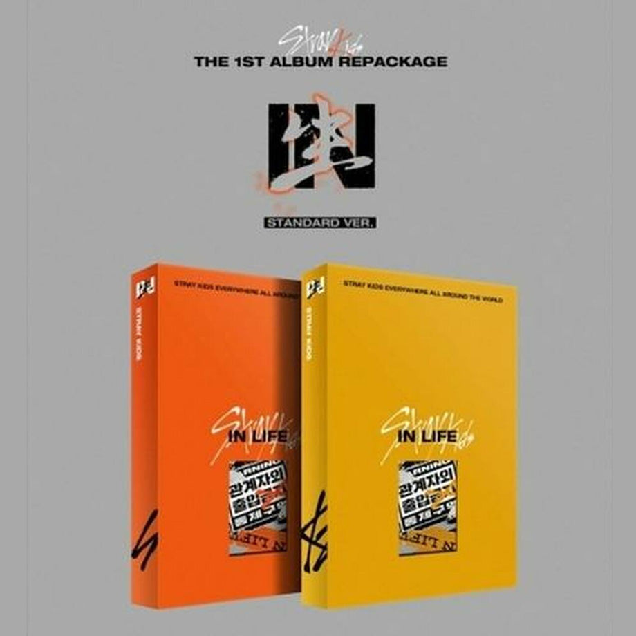 STRAY KIDS VOL. 1 REPACKAGE - IN LIFE (STANDARD EDITION)