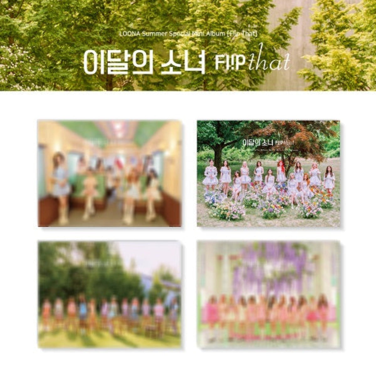 LOONA SUMMER SPECIAL MINI ALBUM - FLIP THAT (RANDOM VERSION)