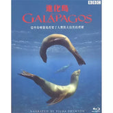 Galapagos 進化鳥 (Blu-ray) (英粵國語)