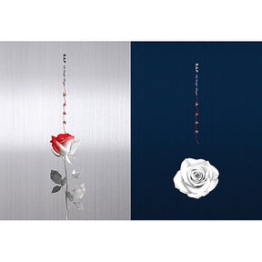 B.A.P Single Album Vol. 6 - Rose